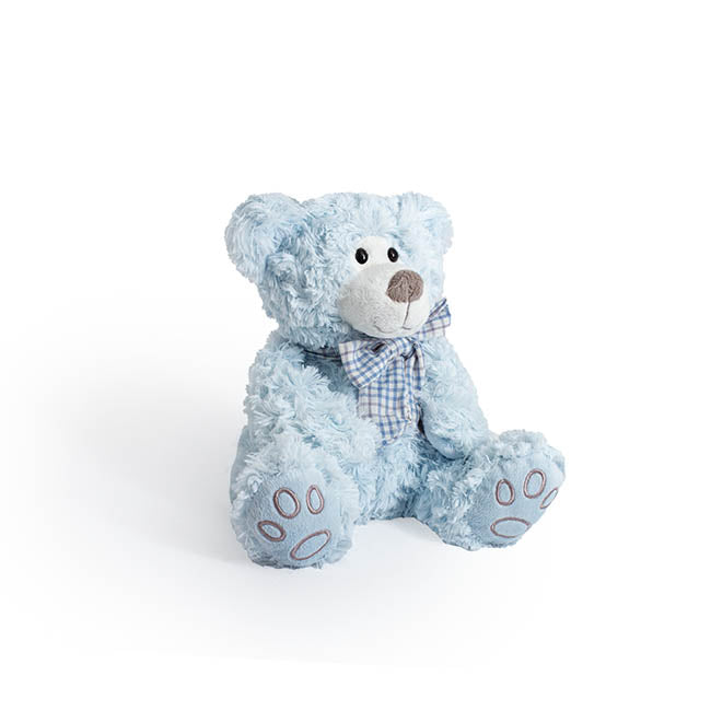 Baby sales blue teddy